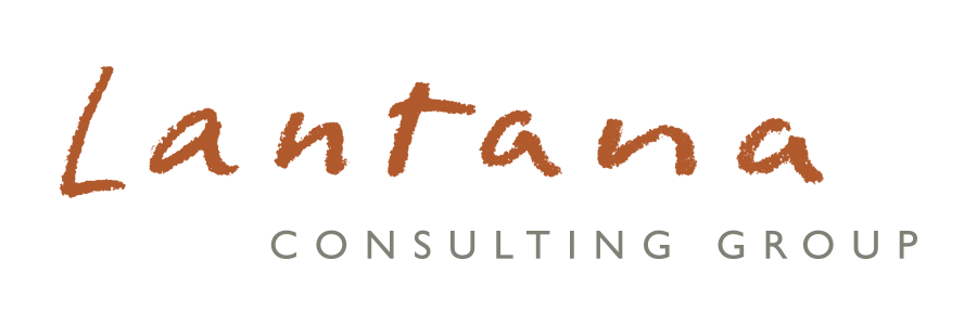 lantanagroup.com