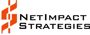 netimpactstrategies.com